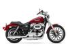 Harley-Davidson (R) Sportster(R) 1200 Low 2010